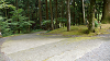 camp29 (204)_thumb.png